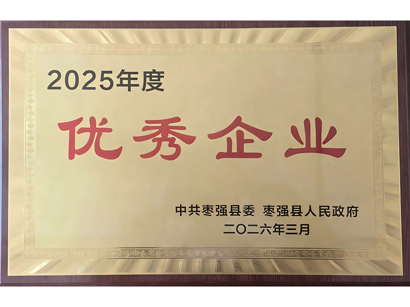2025年度優(yōu)秀企業(yè)